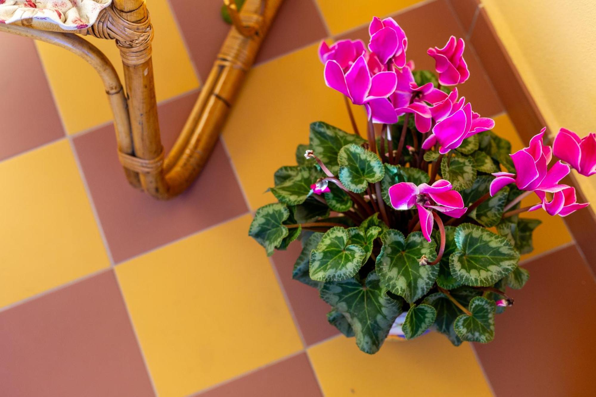 Mch-Marina Charming House Apartment Cagliari Ngoại thất bức ảnh